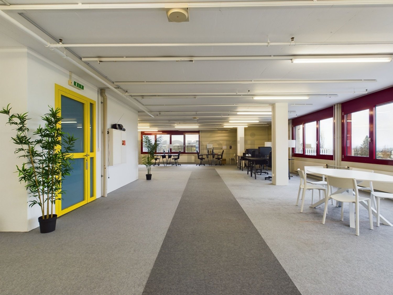 250m² office