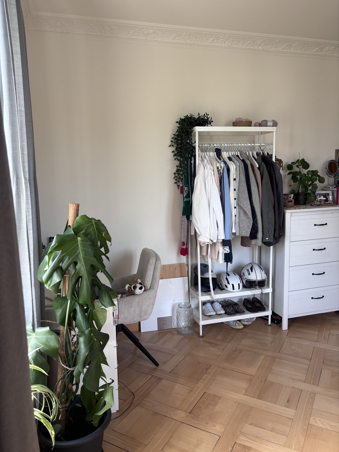Room in a shared flat