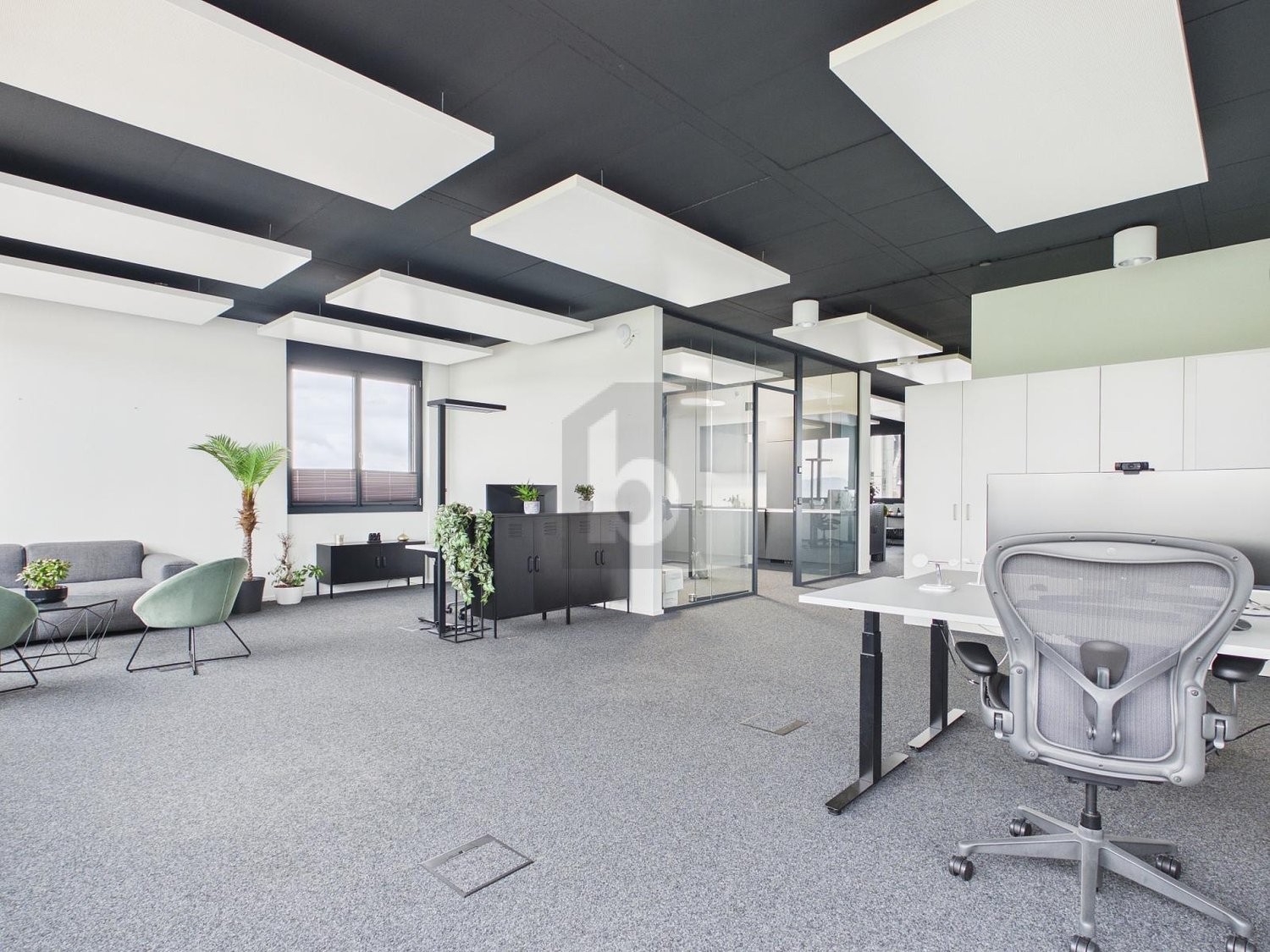 243m² ufficio