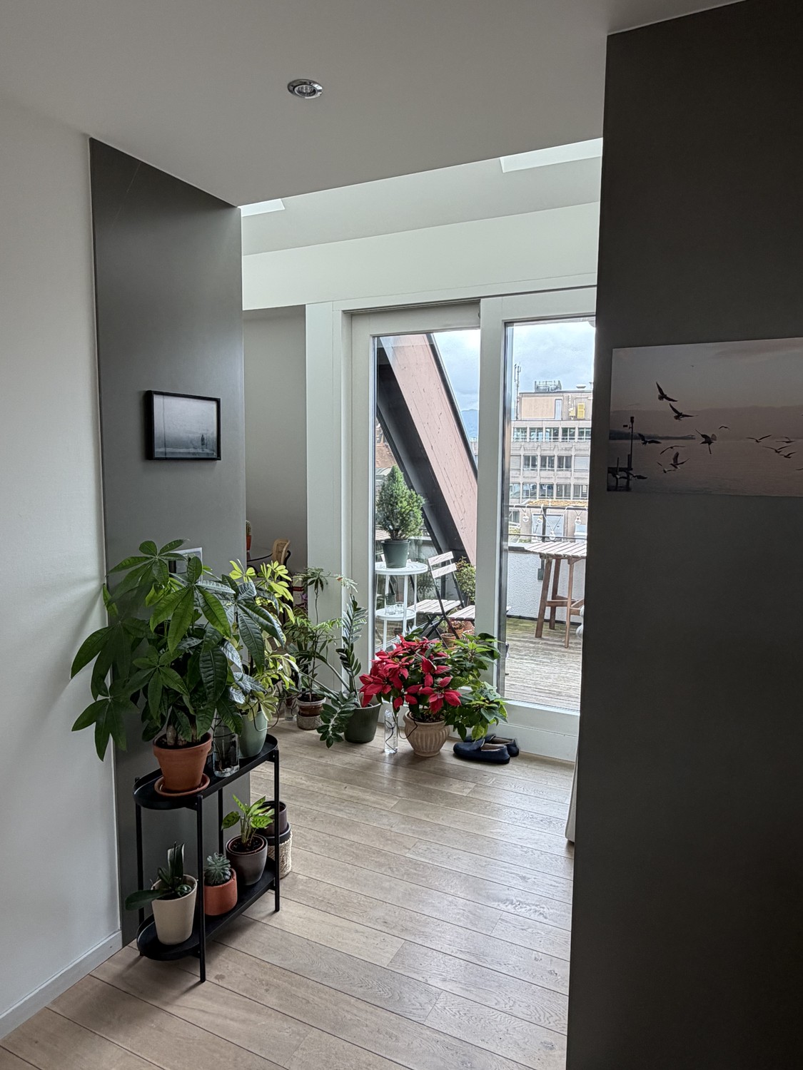 Appartement 2 ½ pièces, photo 6 sur 10