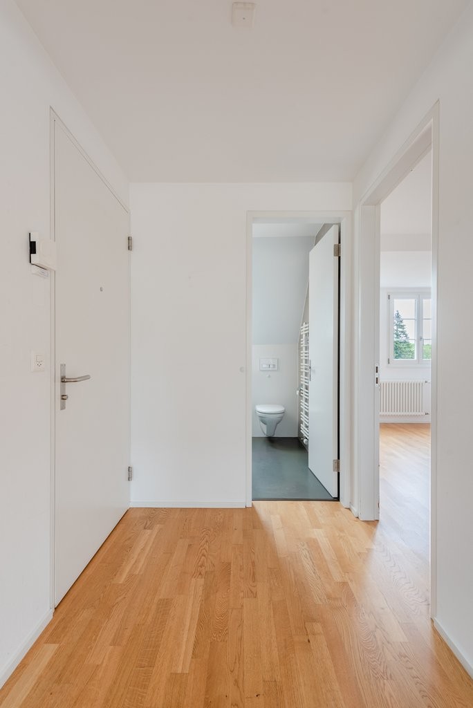 3 rooms roof flat