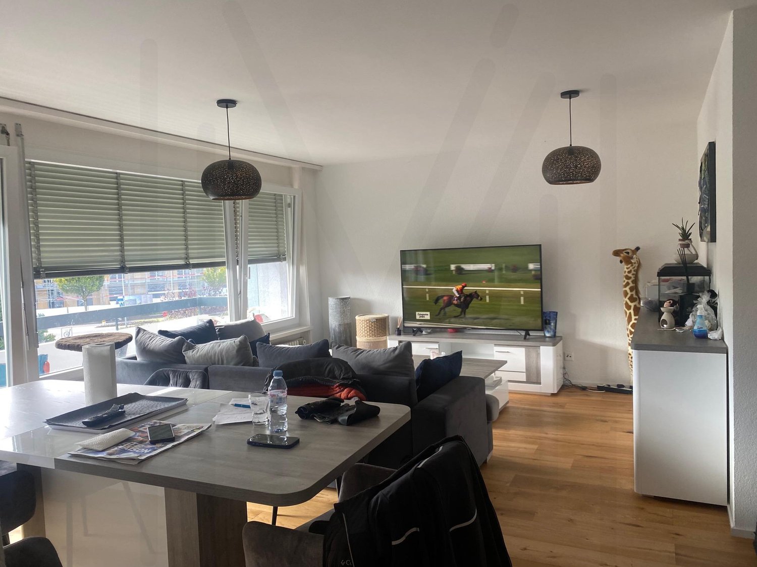 45 rooms apartment, photo 9 of 10