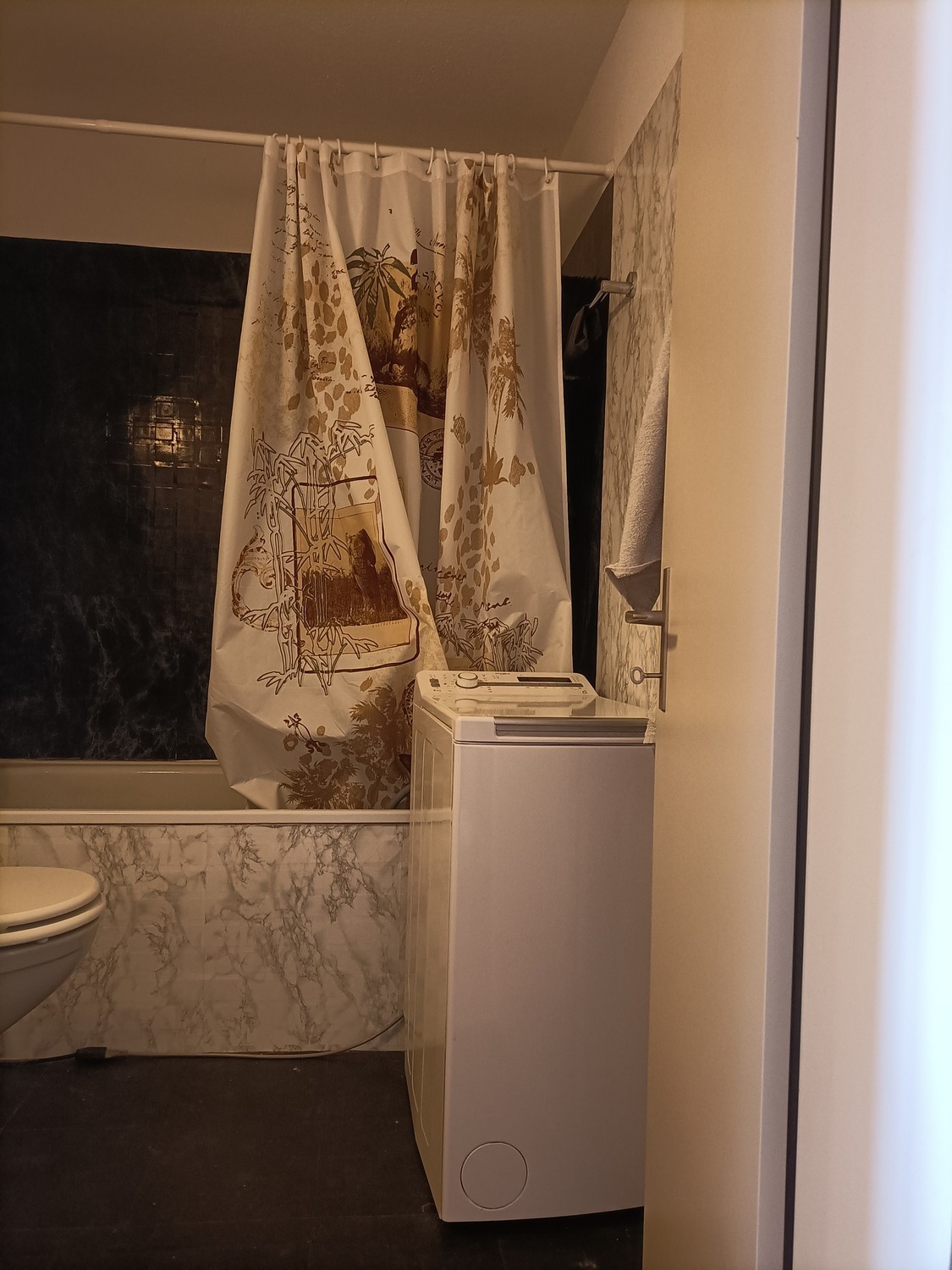 2 ½ rooms apartment