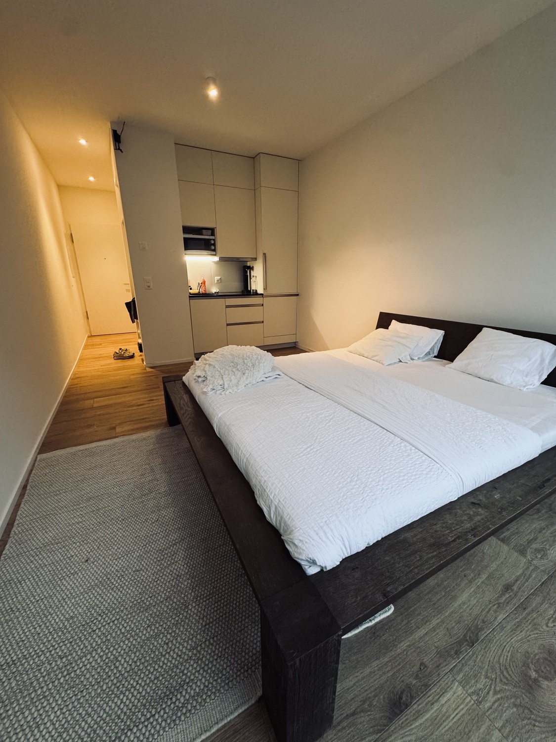 Appartement 1 pièce