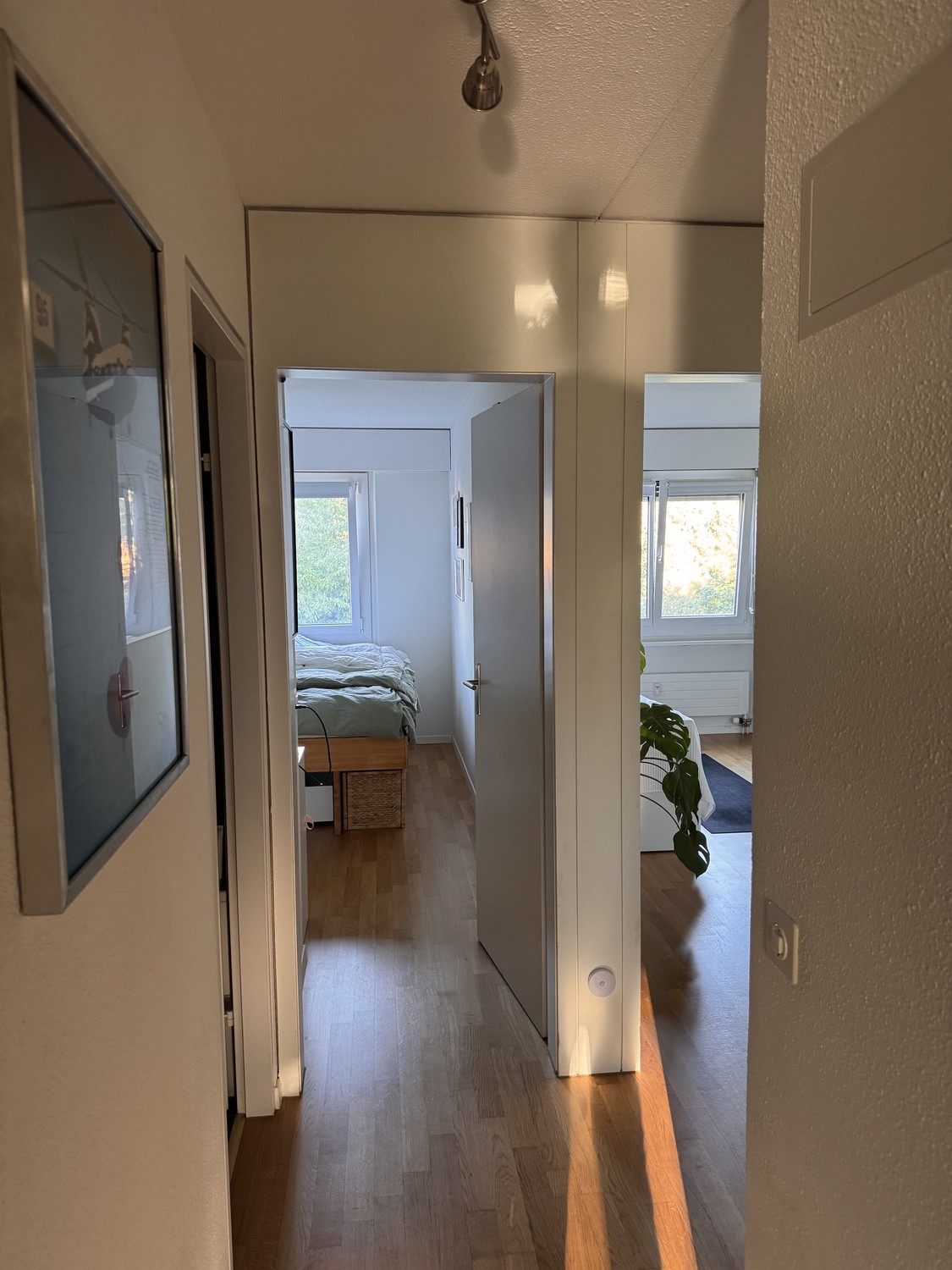 2 ½ rooms apartment