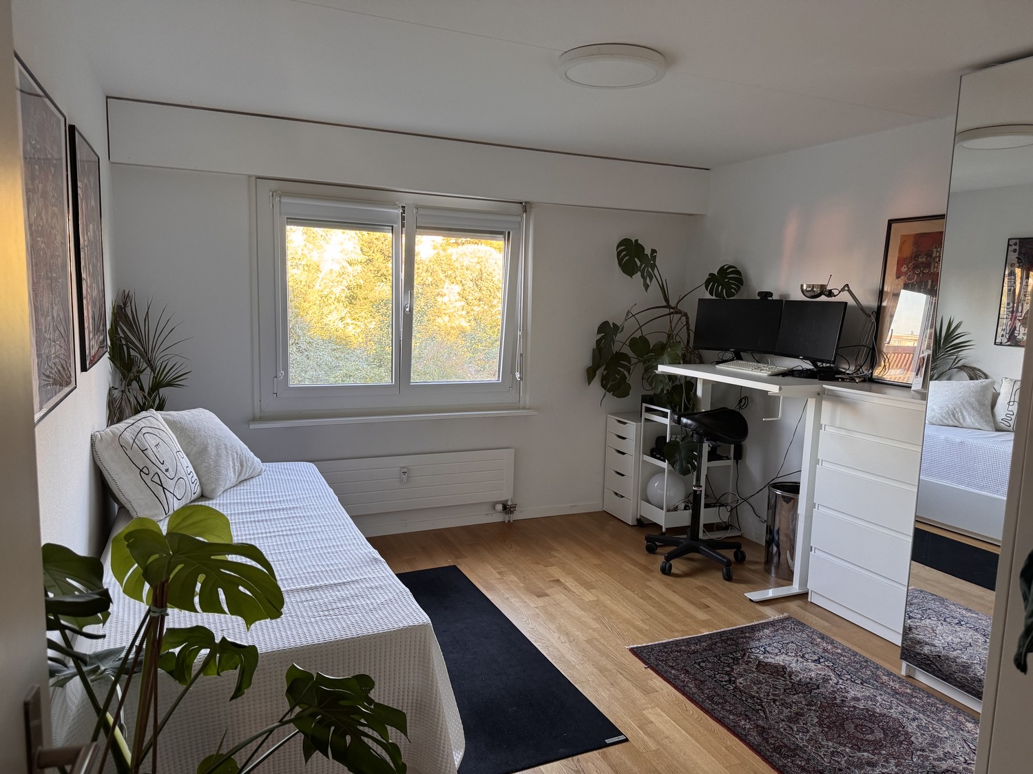 2 ½ rooms apartment