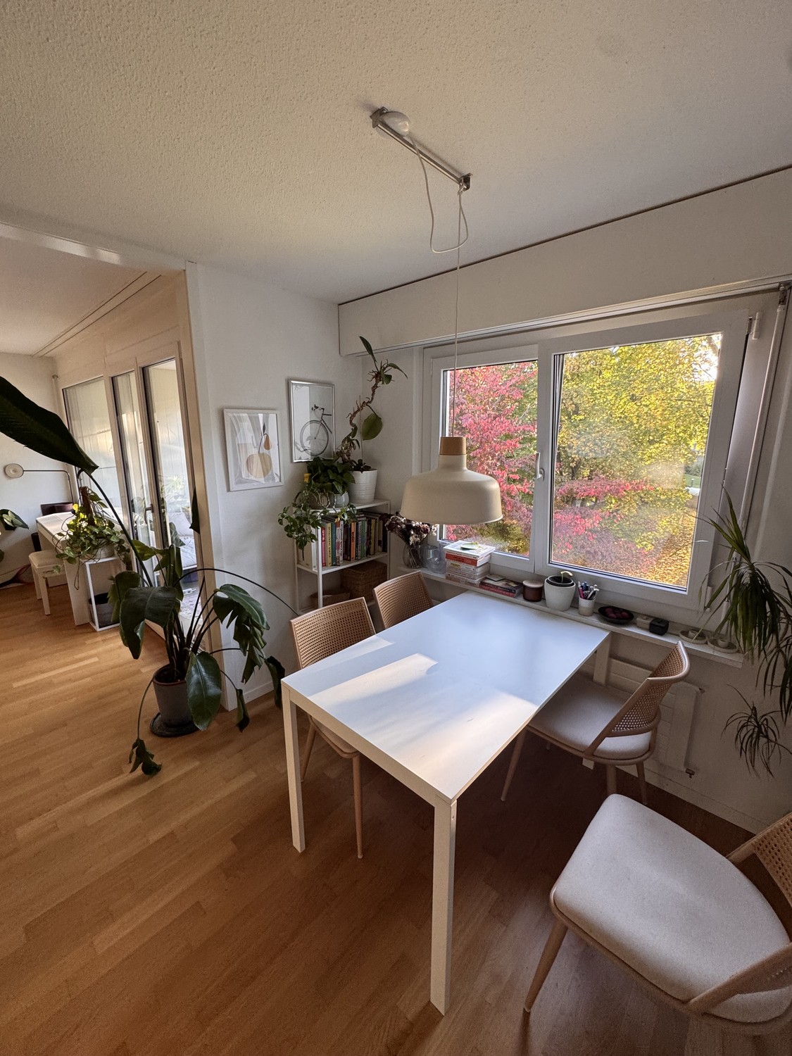 2 ½ rooms apartment