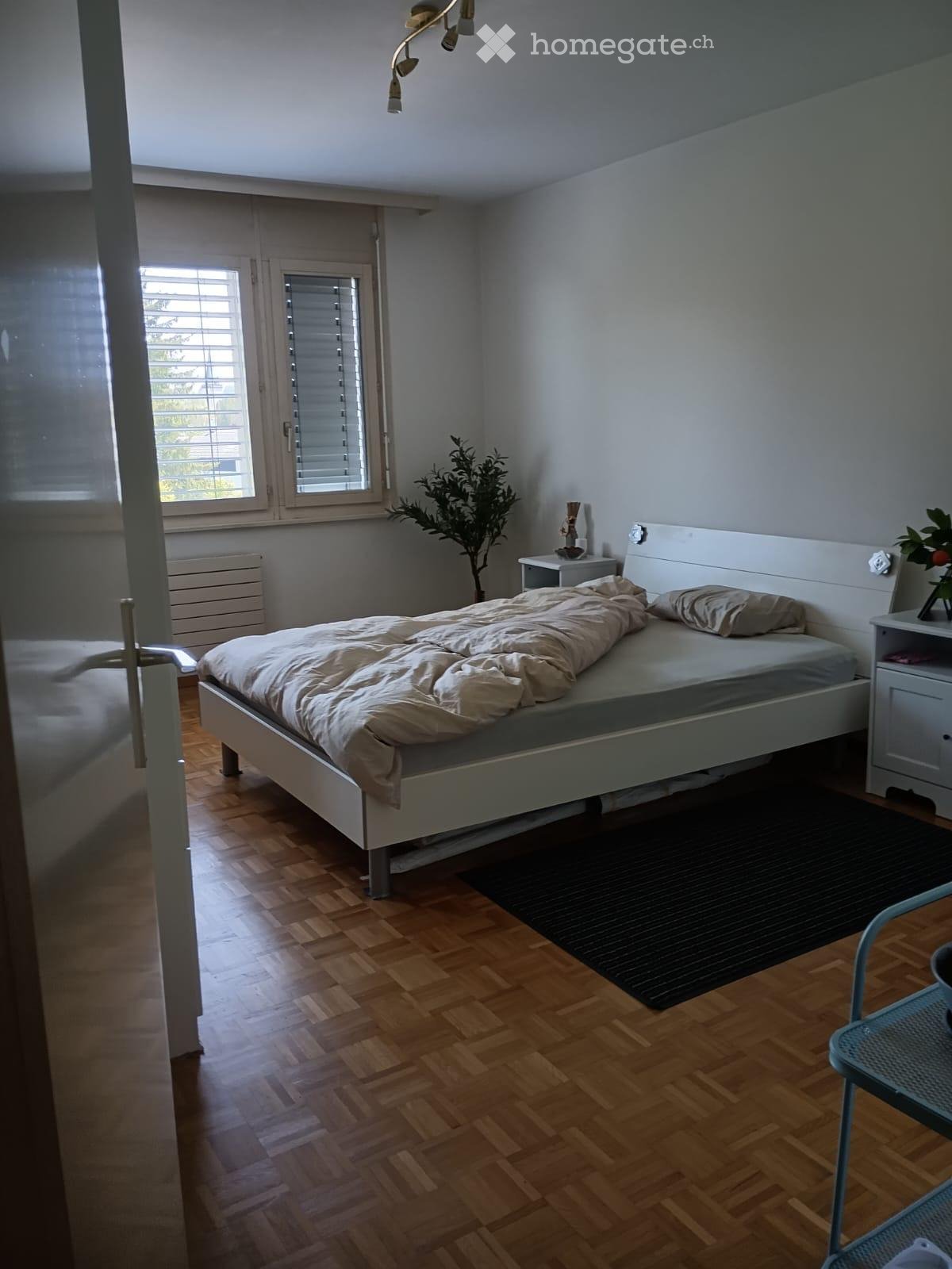 3 ½ Zimmer-Wohnung