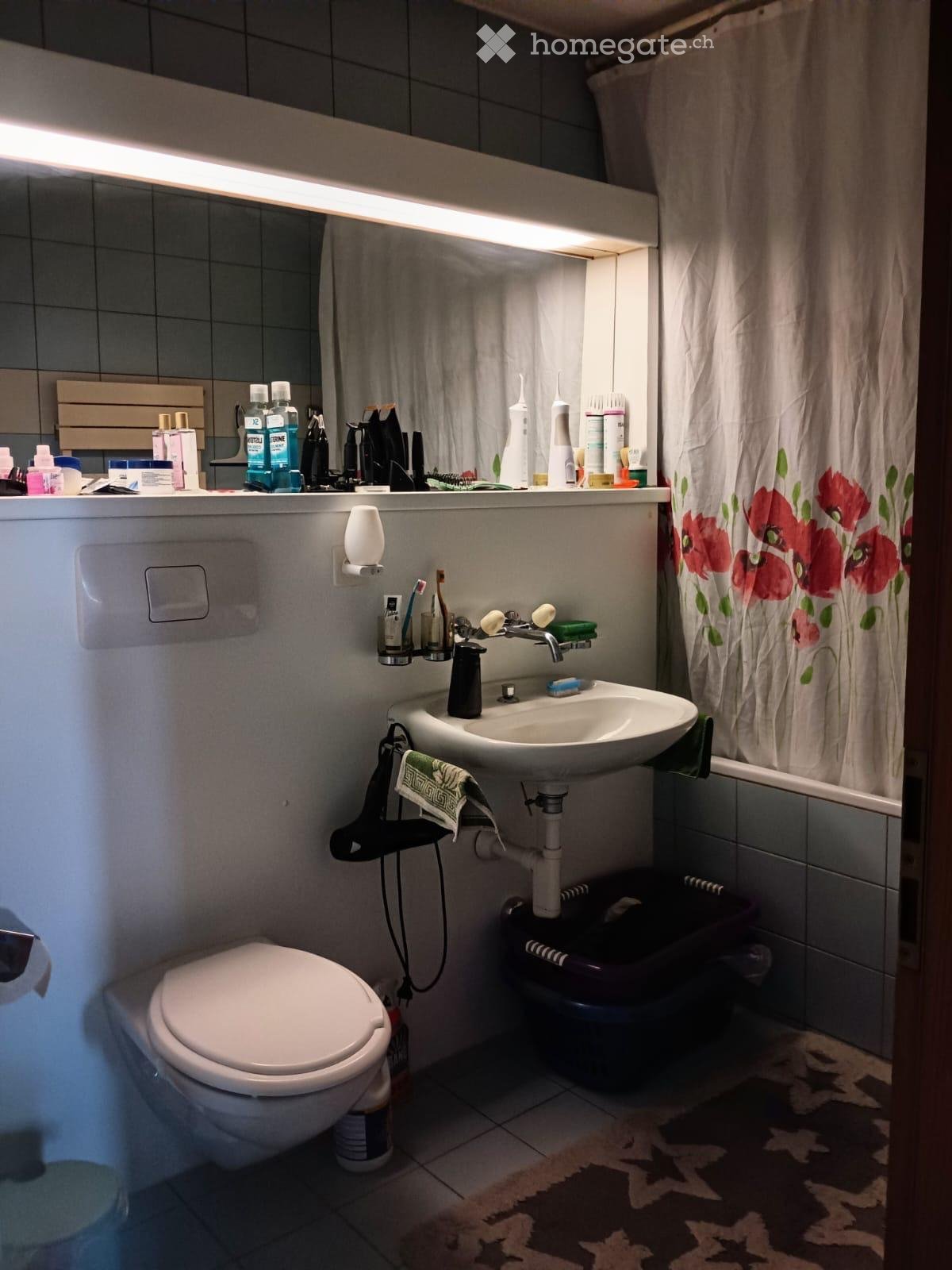 3 ½ Zimmer-Wohnung