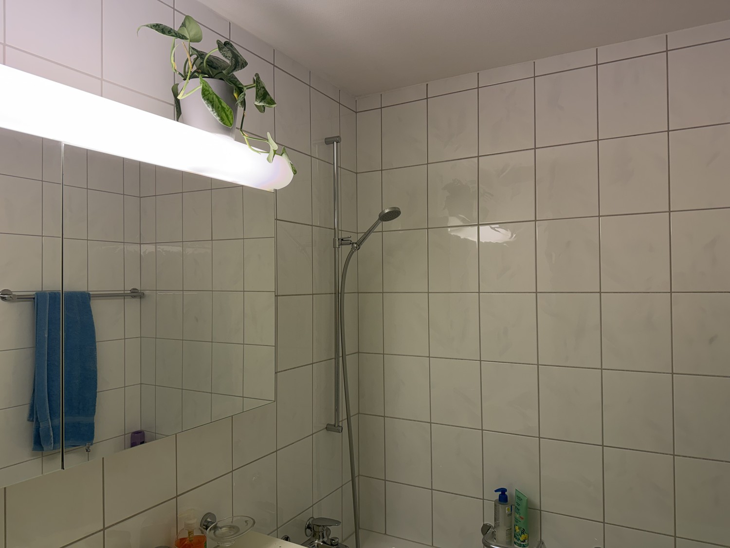 Stanza in un appartamento condiviso, foto 4 di 6