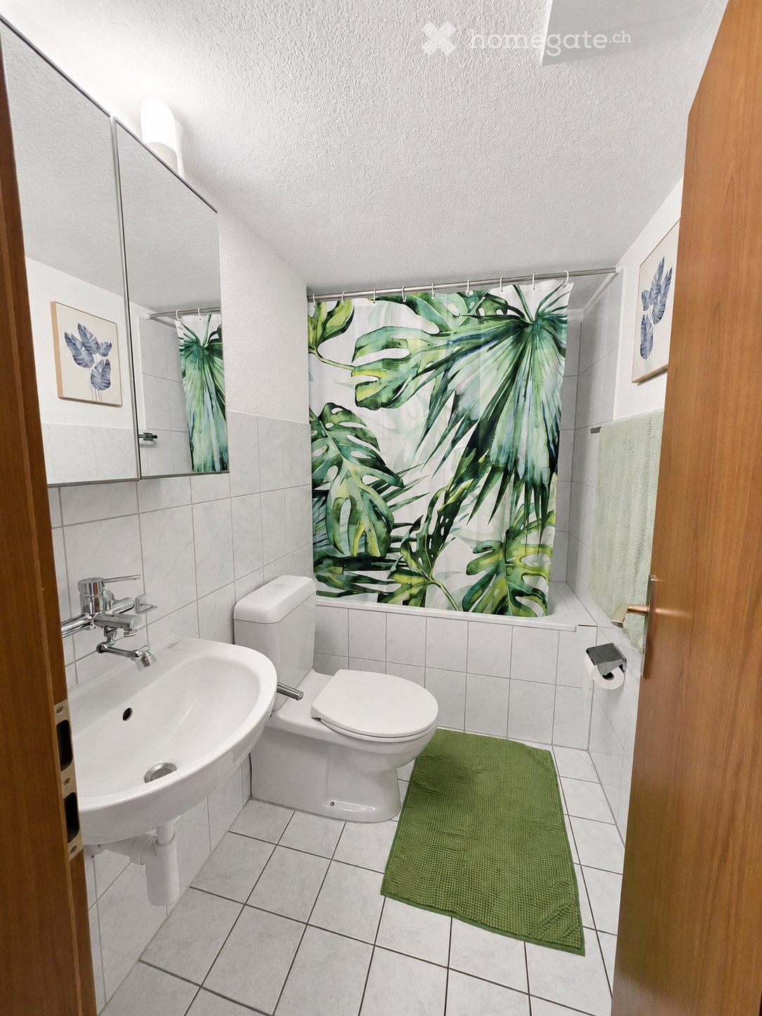 appartement 1 pièce