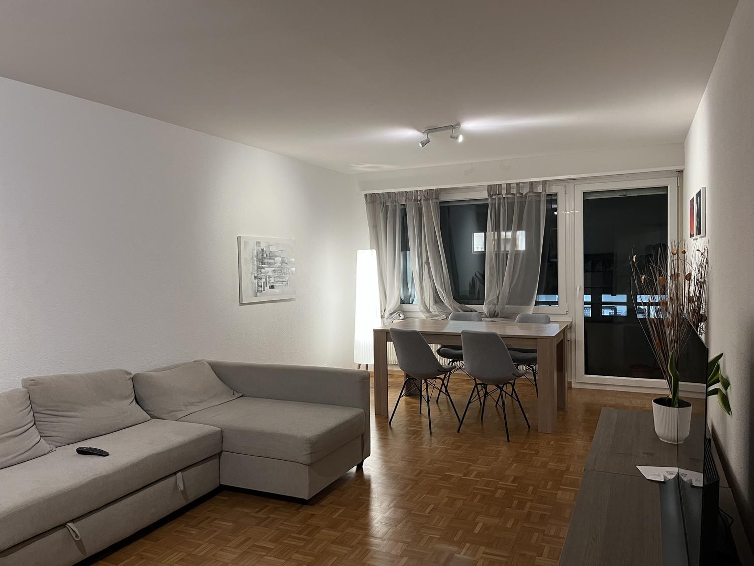 2 ½ rooms apartment