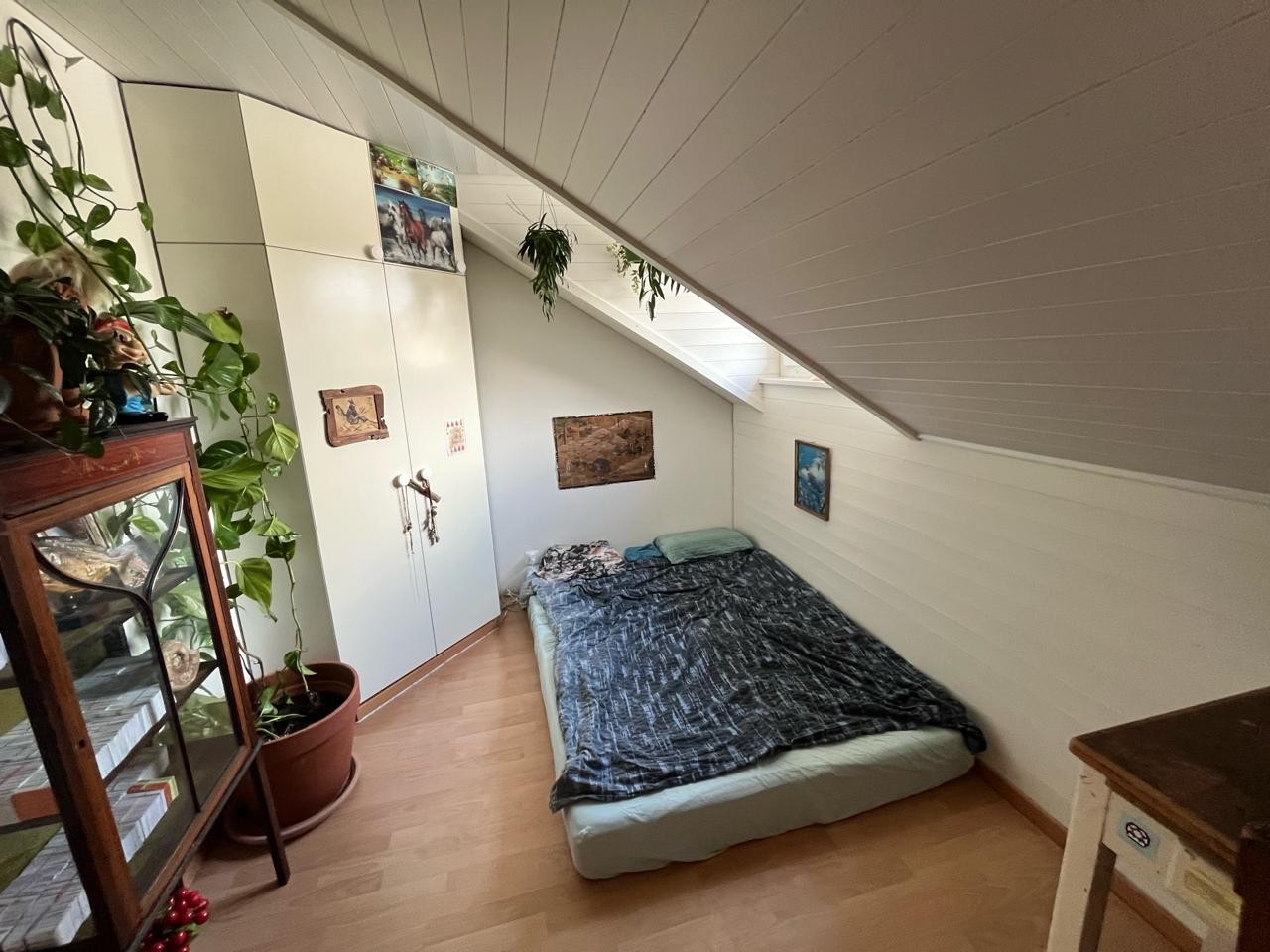 Room in a shared flat, photo 3 of 8