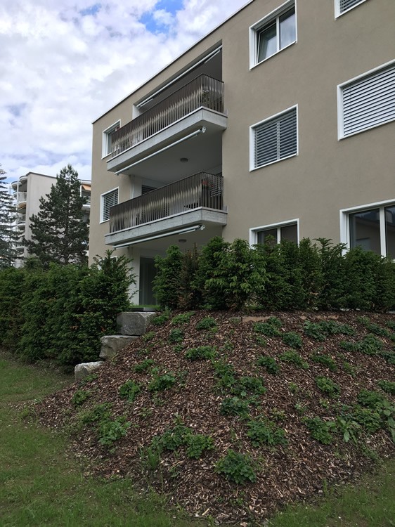 4 ½ rooms apartment (4)