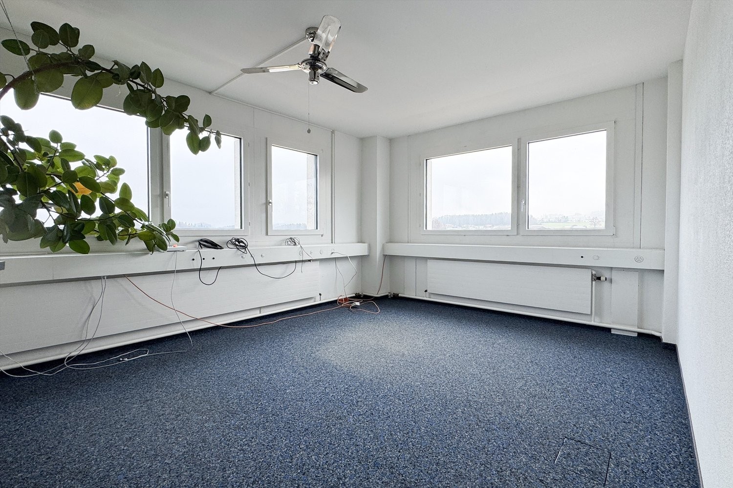 135m² office