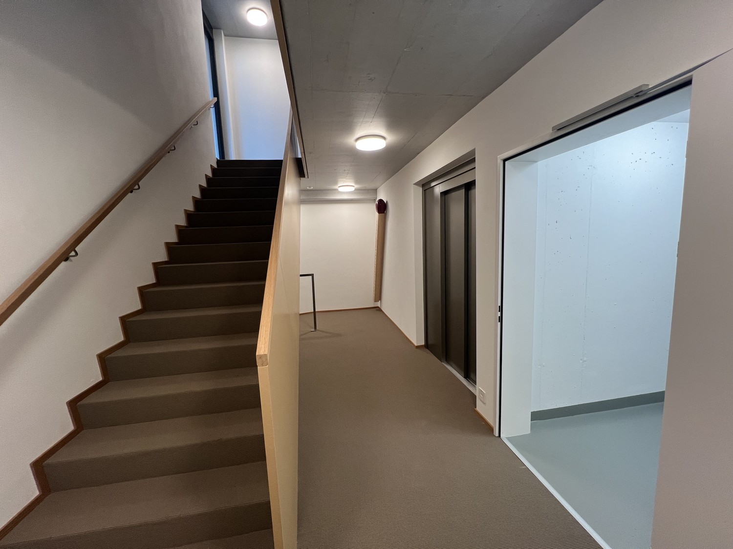 1 room apartment
