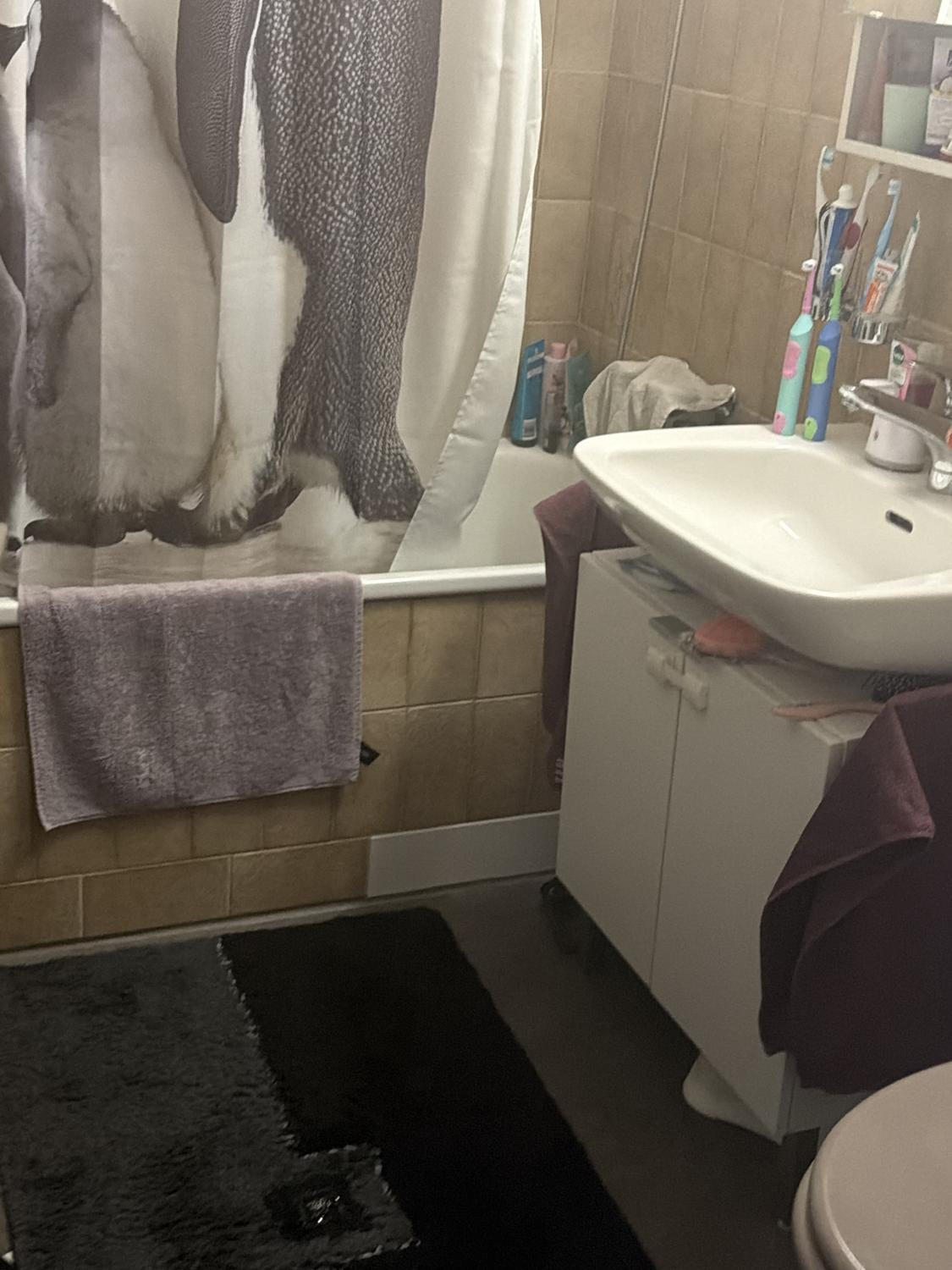 4 ½ rooms apartment