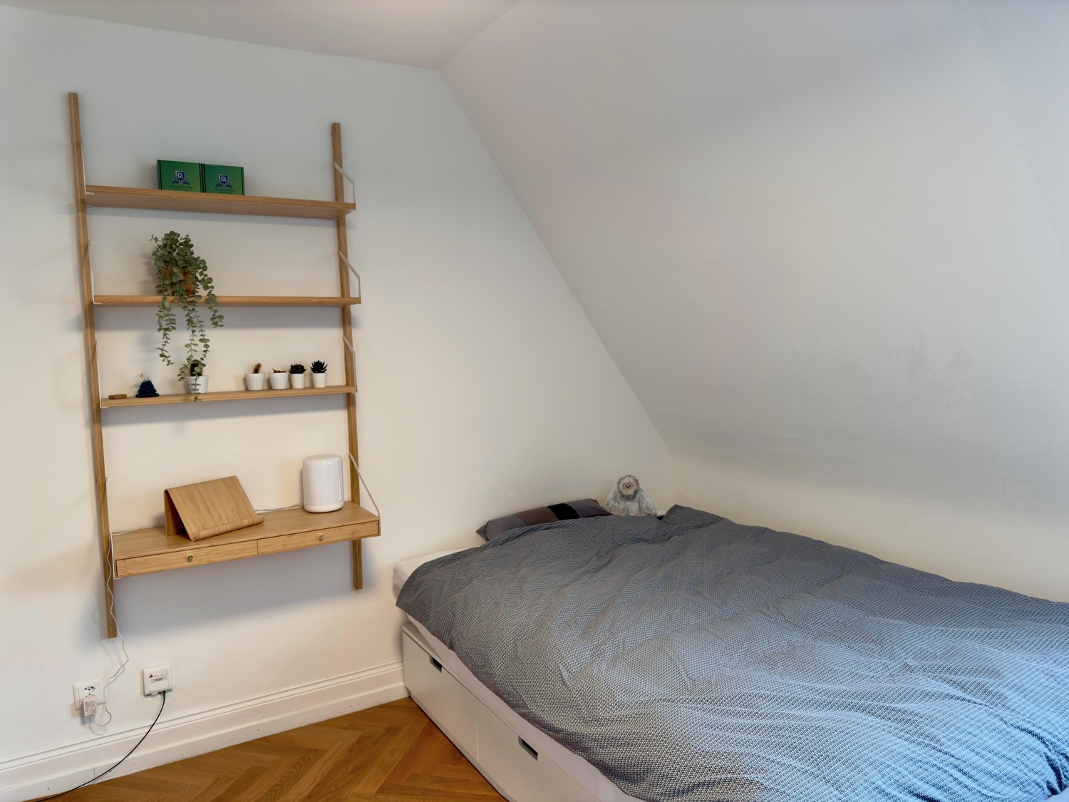 Room in a shared flat, photo 6 sur 10