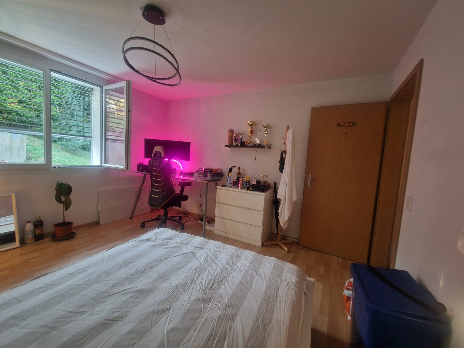 Room in a shared flat