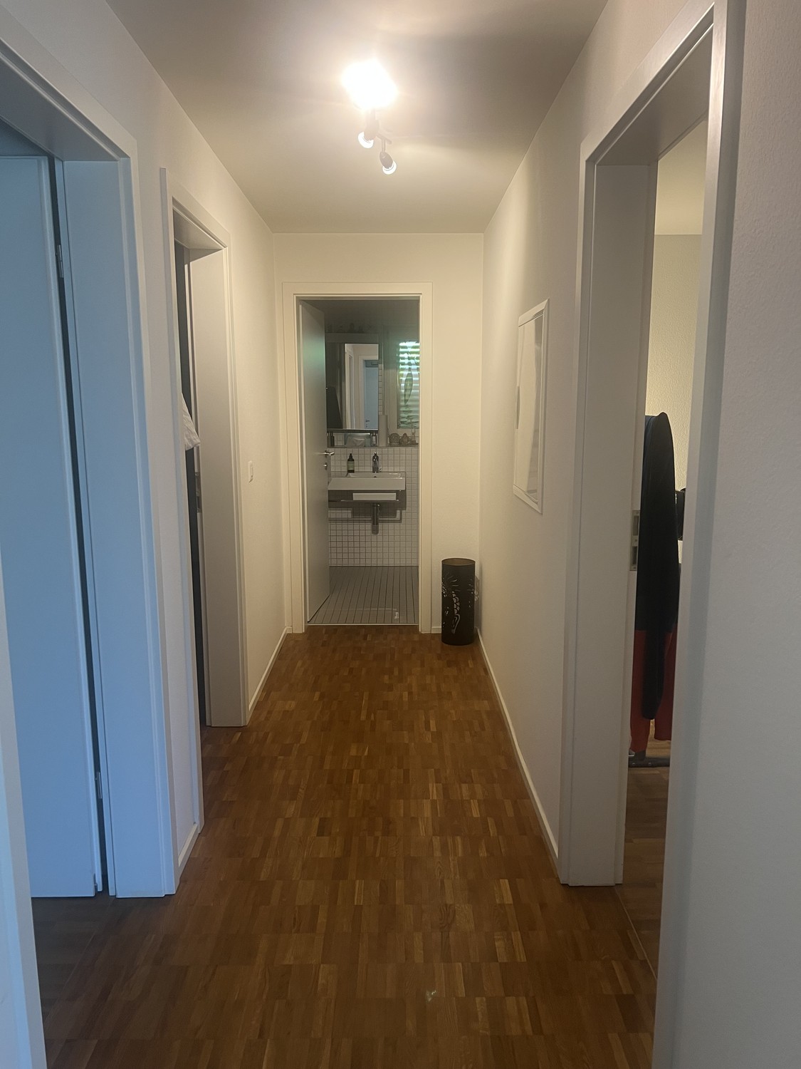 4 ½ rooms apartment