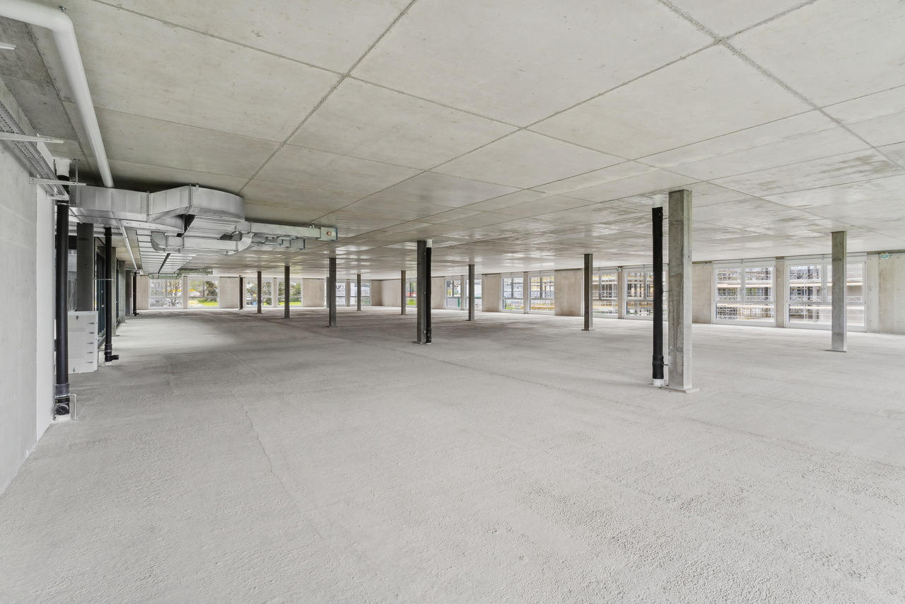 1200m² commercial, photo 6 of 10