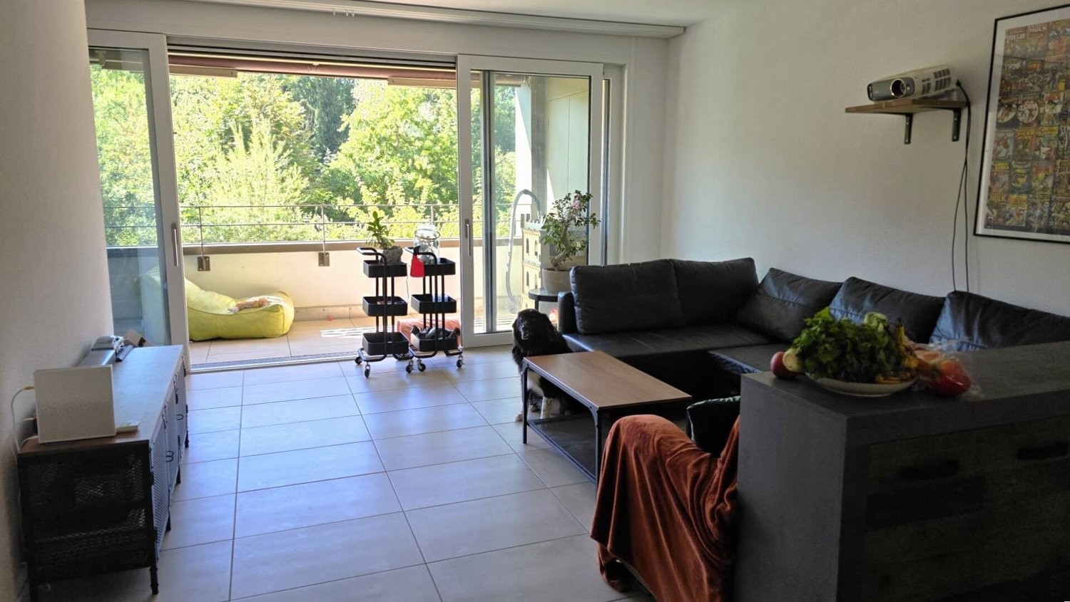 Appartamento 3 ½ locali