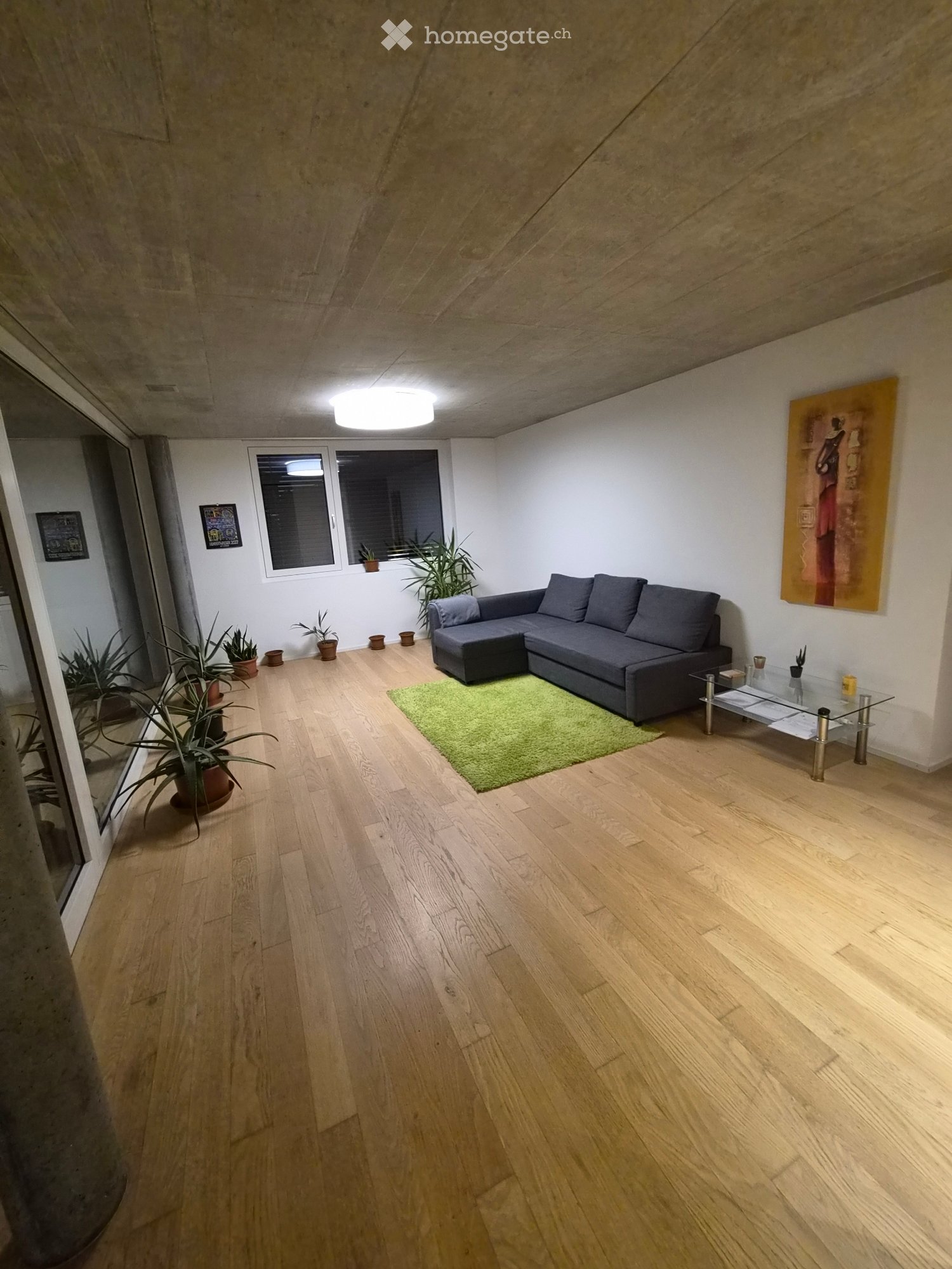 3 ½ rooms apartment
