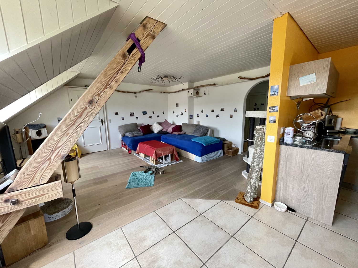 Chambre dans une colocation