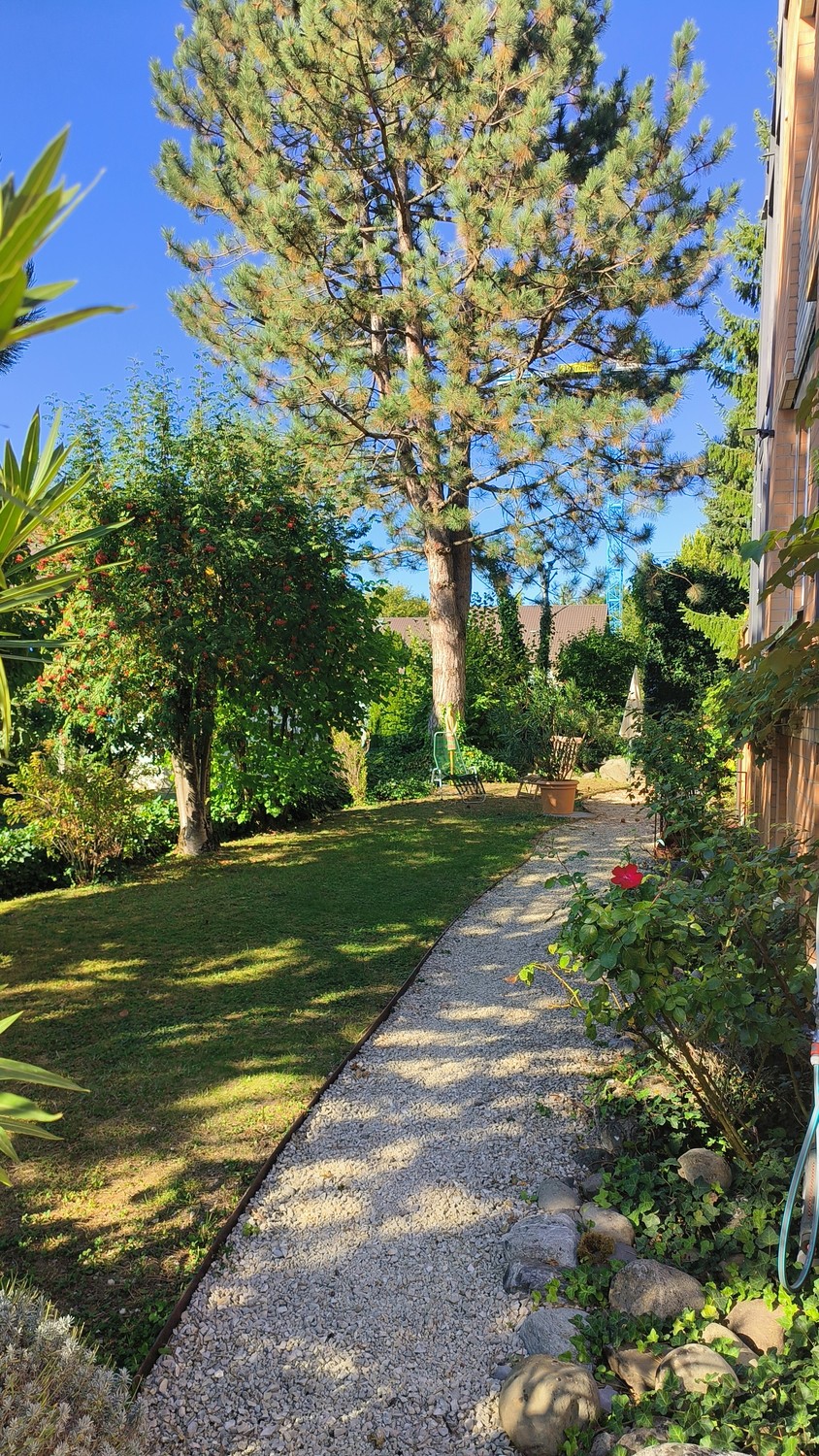 Appartement de 2 ½ pièces