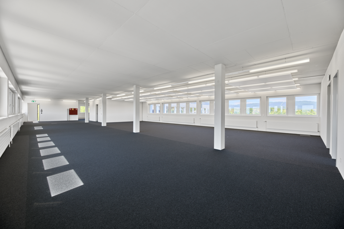 294m² office