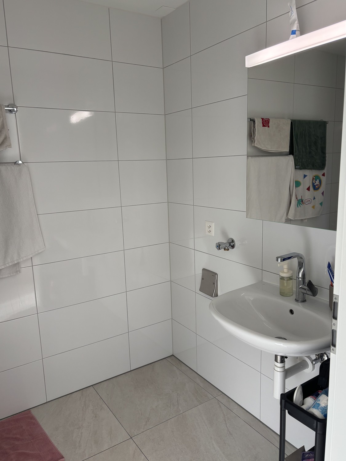 2 ½ Zimmer-Wohnung