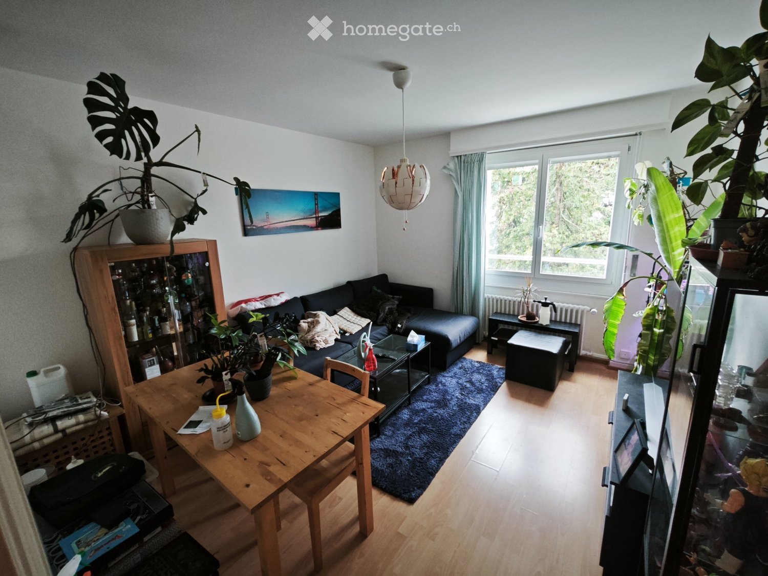 3 ½ Zimmer-Wohnung