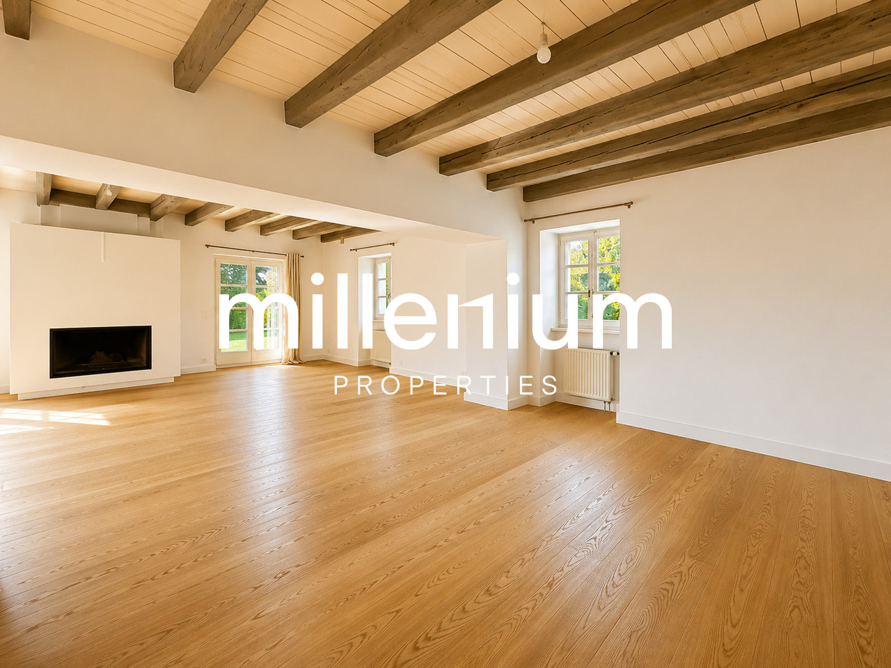 12 rooms villa