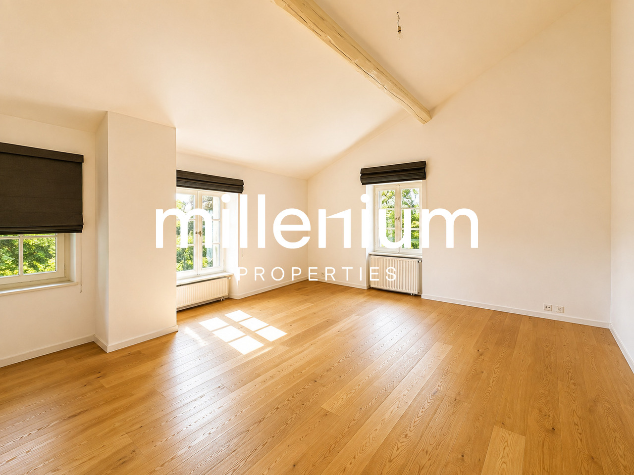 12 rooms villa