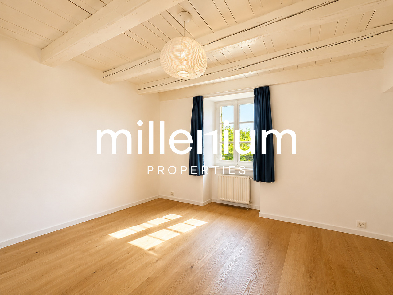 12 rooms villa