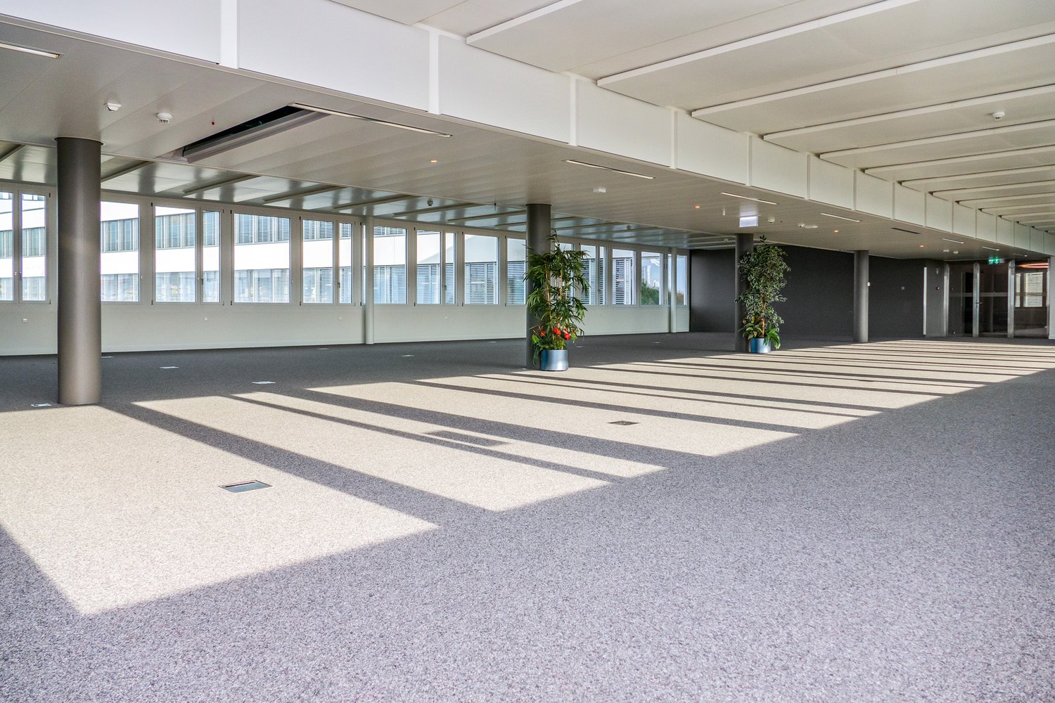 570m² office