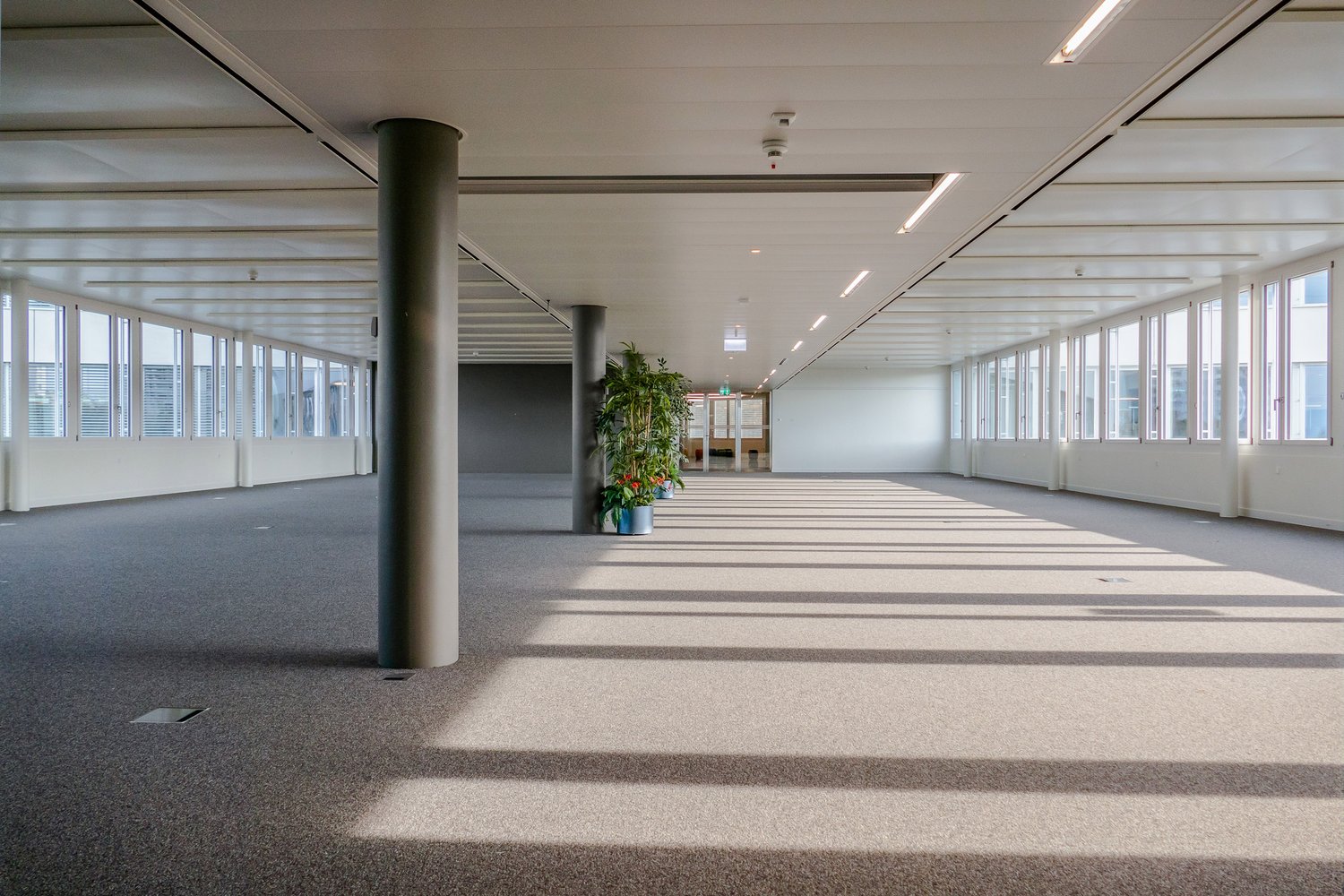 570m² office