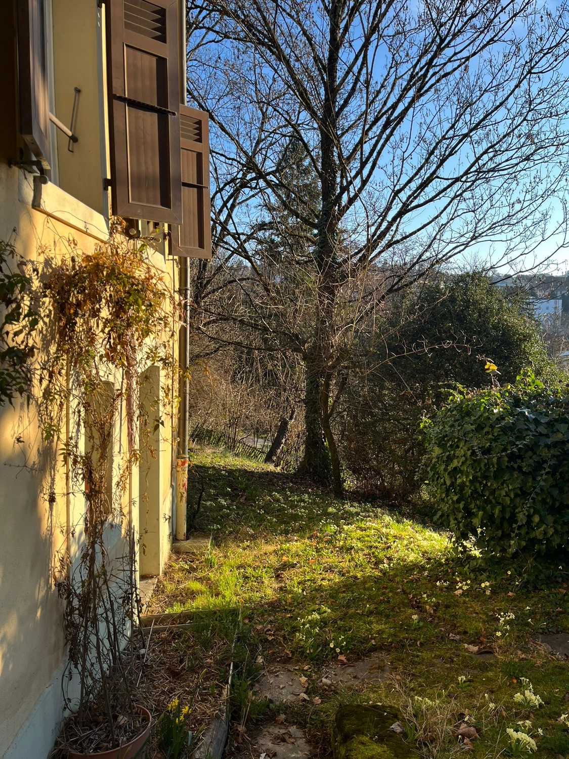 3 rooms apartment