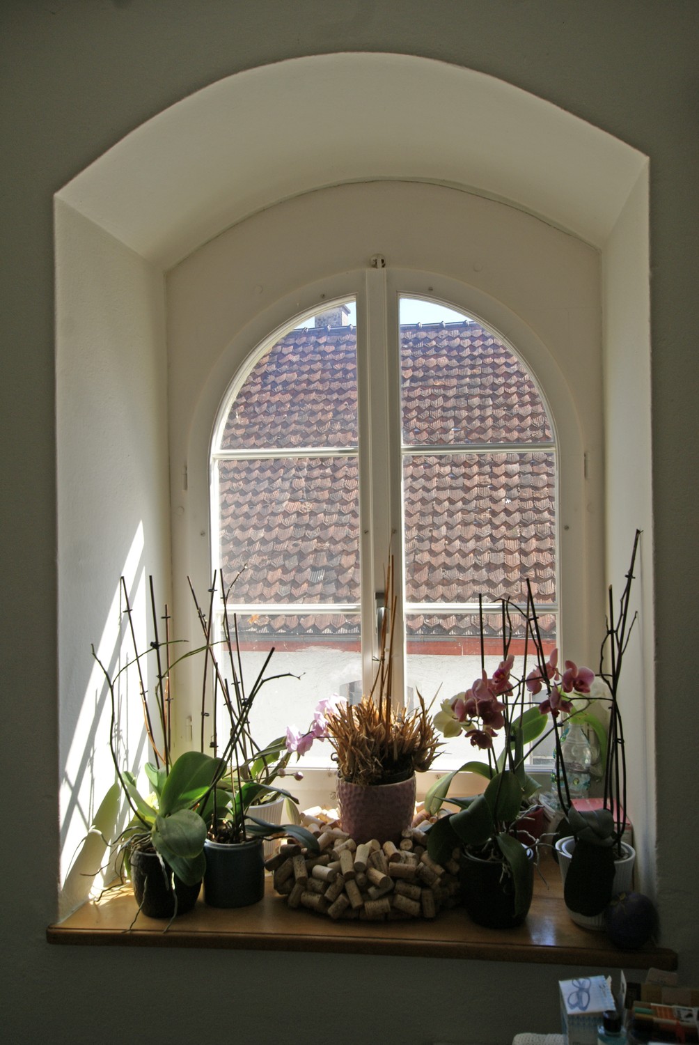 2855m² building land, photo 6 of 6
