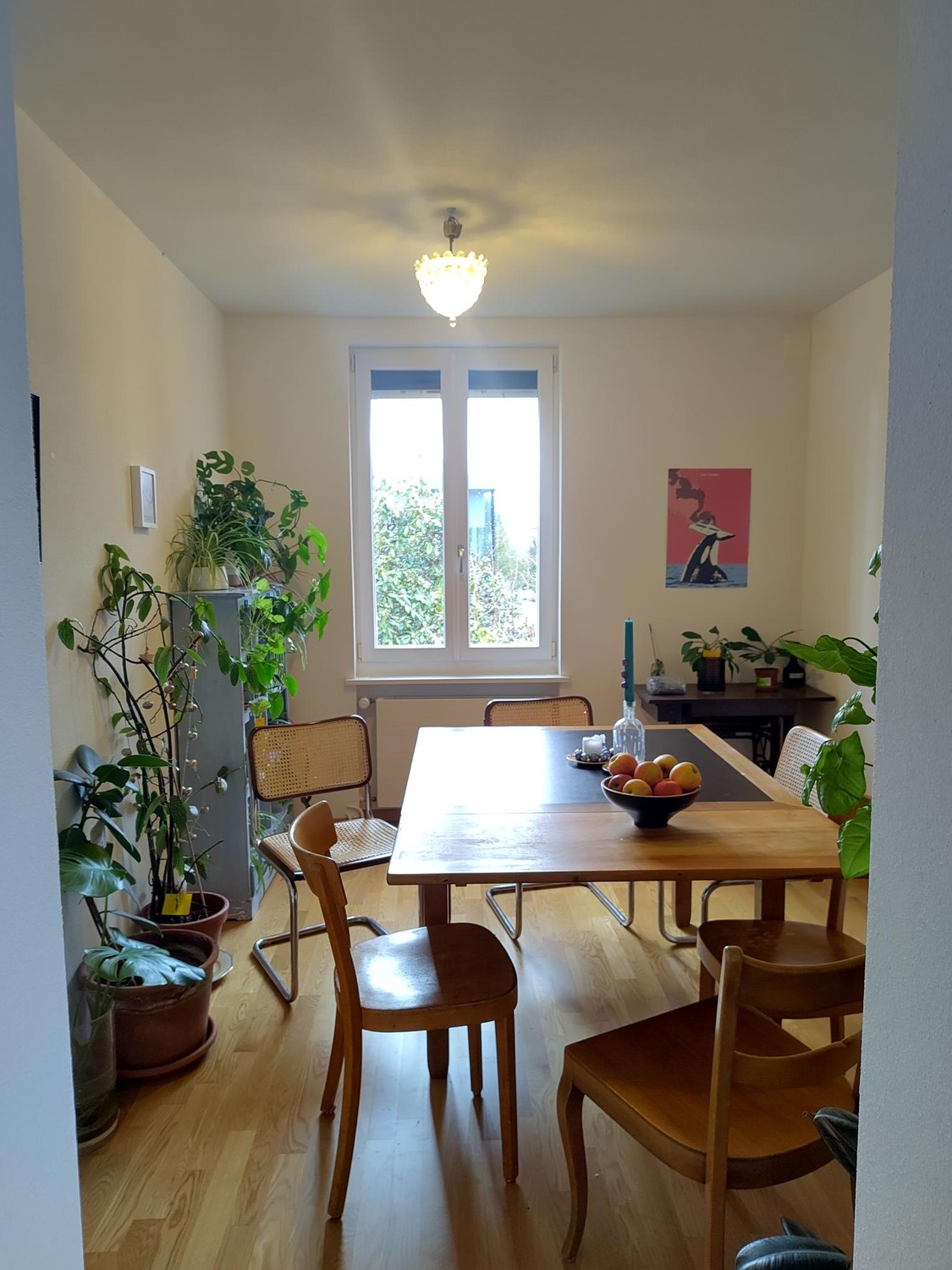 Room in a shared flat, photo 7 of 7