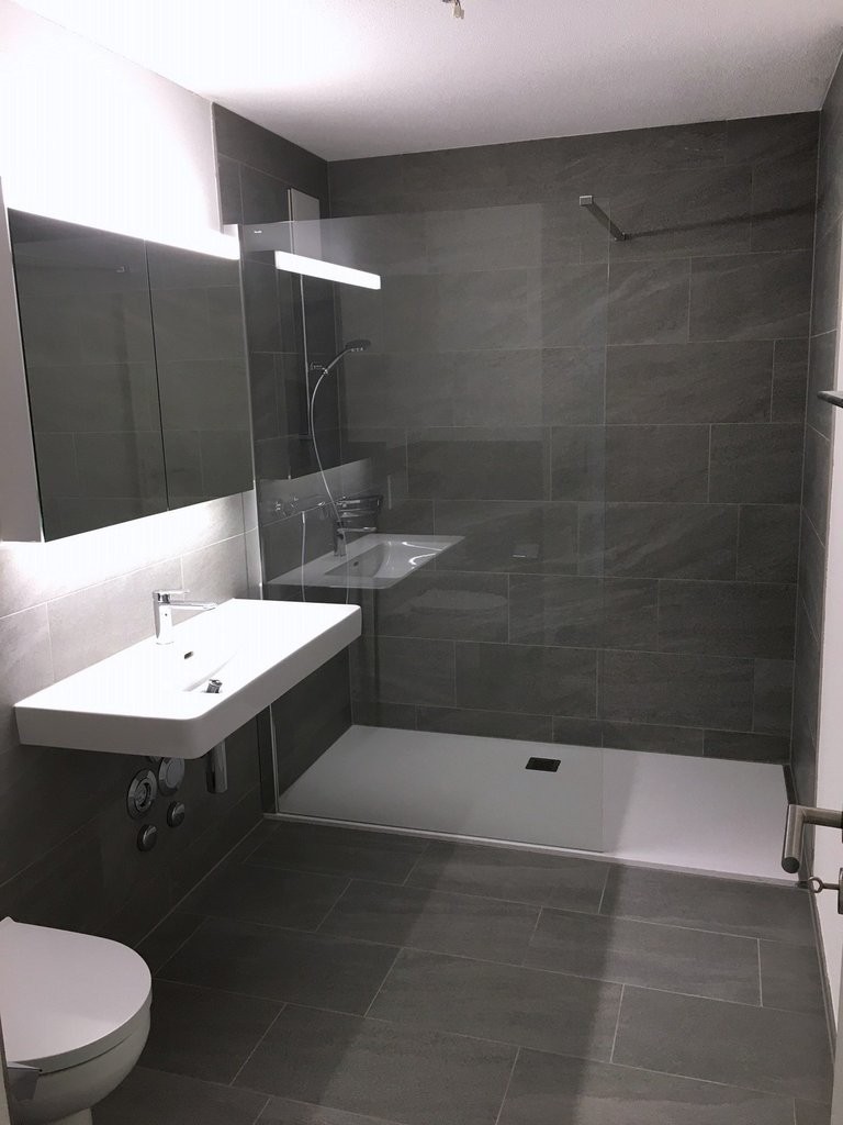 1 ½ rooms apartment, photo 3 sur 7