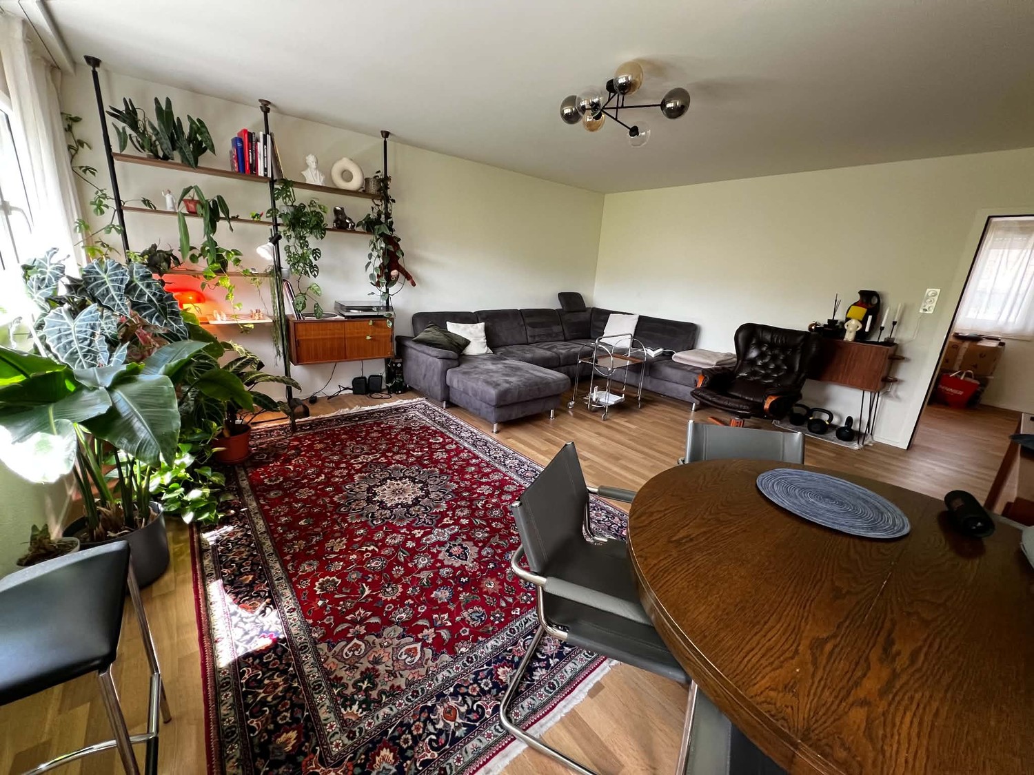 Chambre dans un appartement partagé