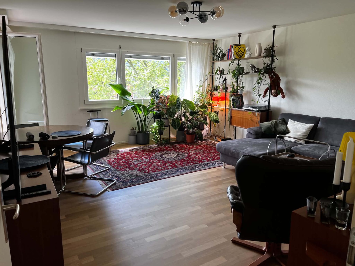 Chambre dans un appartement partagé
