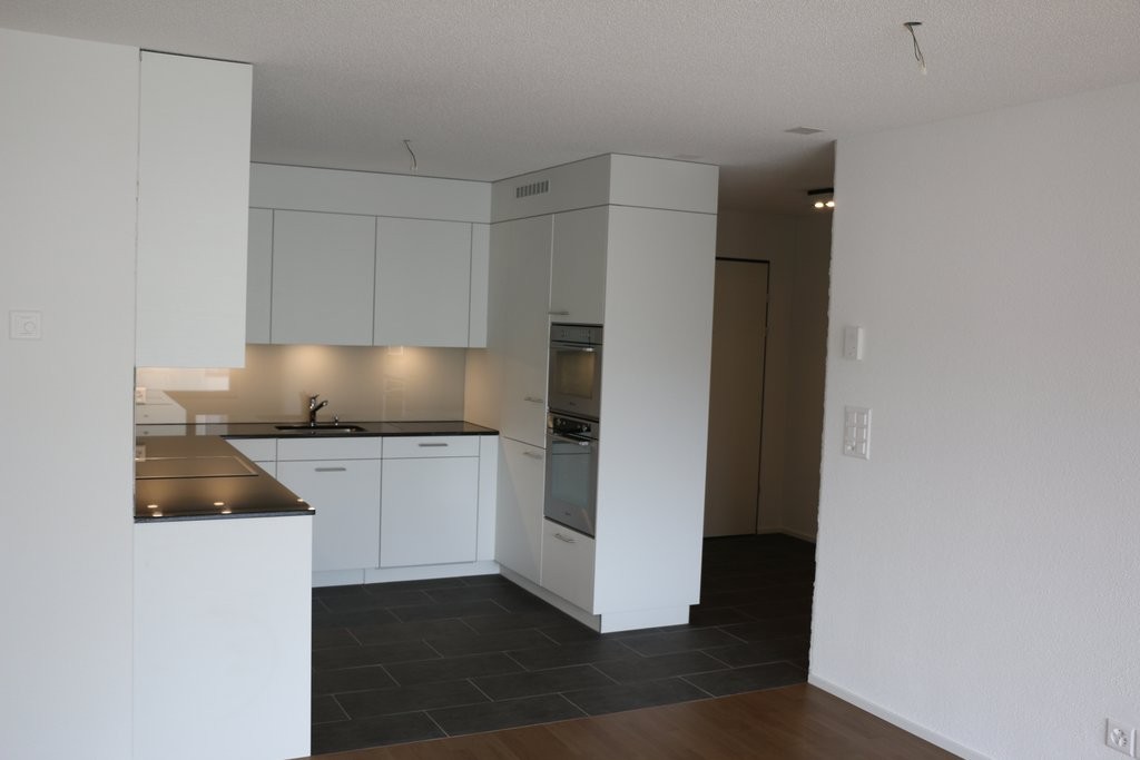 4 ½ rooms apartment (2)