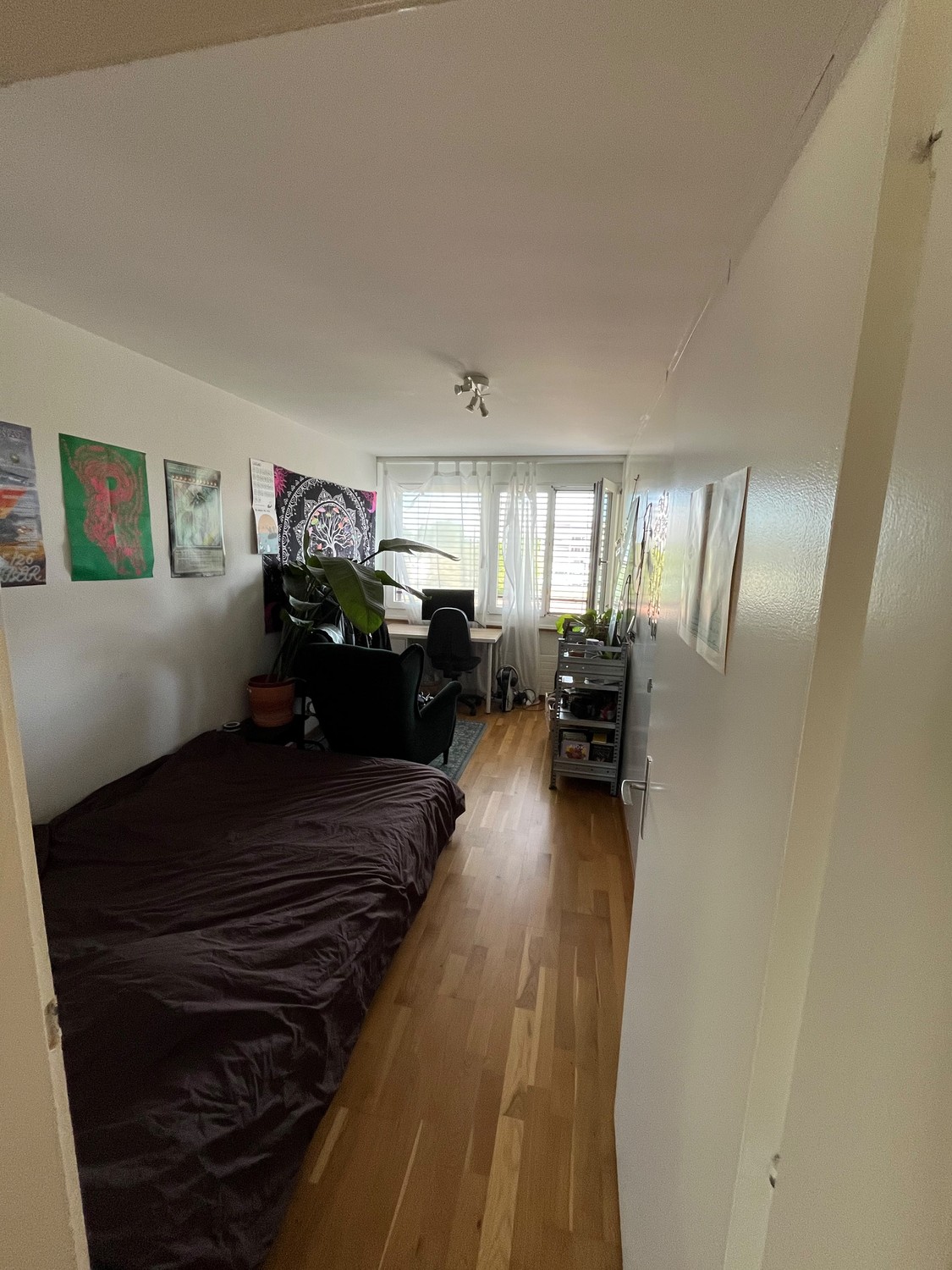 Room in a shared flat, photo 3 of 6