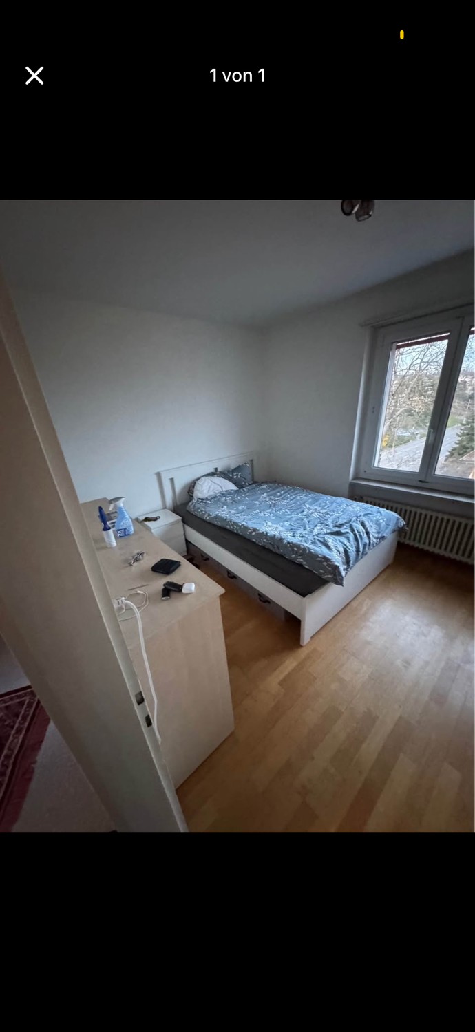 Room in a shared flat