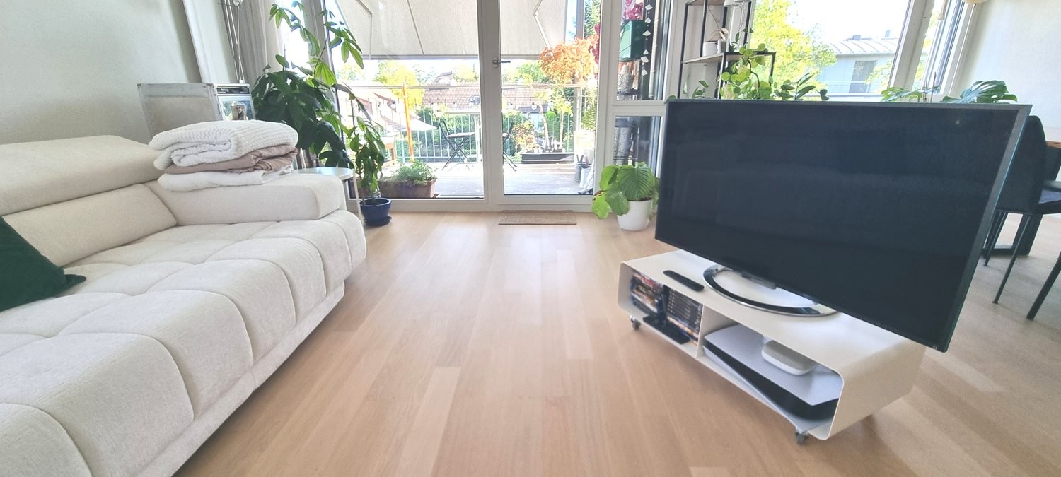 2 ½ rooms furnished flat