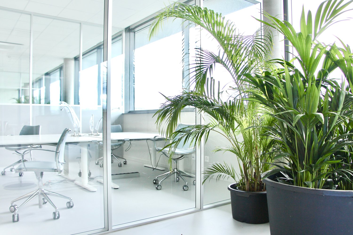 Office, photo 6 of 7