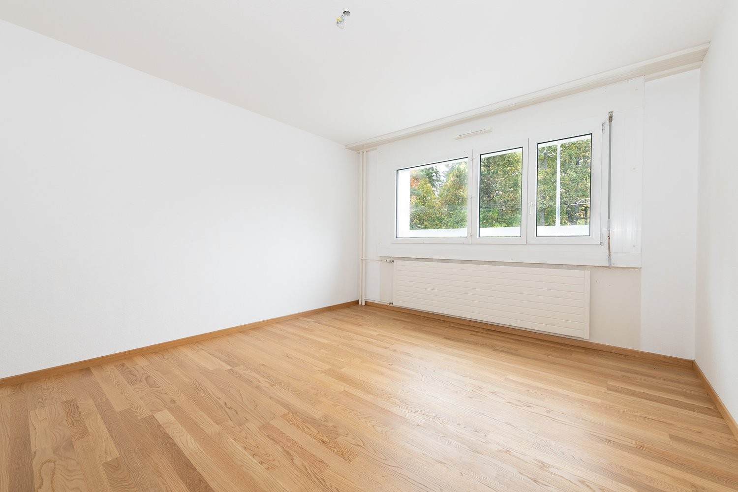 2 ½ Zimmer-Wohnung
