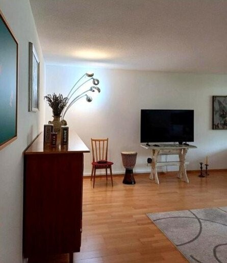 Appartamento arredato di 3 ½ locali